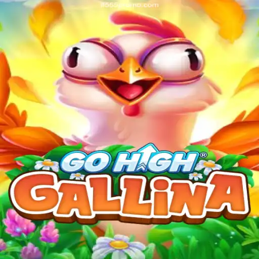 The Thrilling World of GoHighGallina: A Gaming Adventure